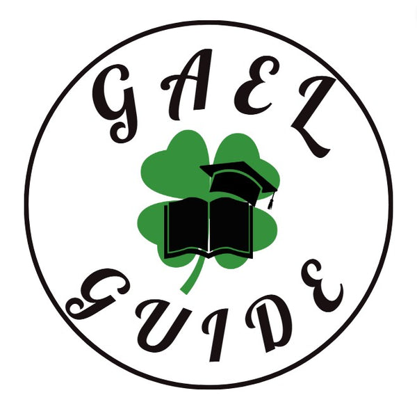 Proficiency: Irish Grammar